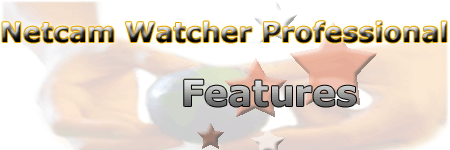 features.gif